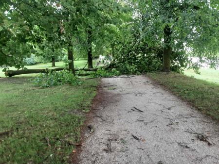 Sanacija posledic neurja_arhiv Občine Domžale (12)